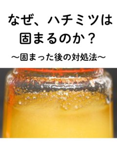 なぜ、ハチミツは固まるのか？