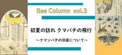 初夏の訪れ クマバチの飛行