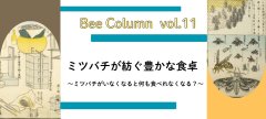 ミツバチが紡ぐ豊かな食卓