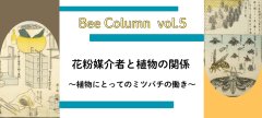 花粉媒介者と植物の関係
