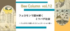 フェロモンで読み解くミツバチ社会