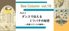 【Part3】 ダンスで伝えるミツバチの秘密 ― 尻振りダンスの解明