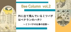 外に出て飛んでいるミツバチはベテランのハチ⁉