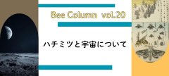 ミツバチと宇宙について
