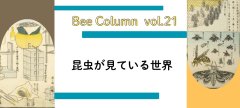 昆虫が見ている世界