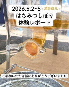 【GWイベント】はちみつしぼり体験 レポート