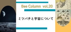 ミツバチと宇宙について