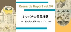 【研究レポート】ミツバチの扇風行動　ニ種の換気方法の違いについて
