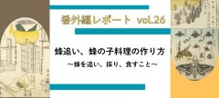 蜂追い、蜂の子料理の作り方　～ 蜂を追い、採り、食すこと～