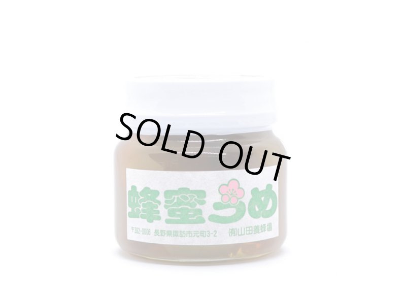 画像1: 蜂蜜うめ (1)
