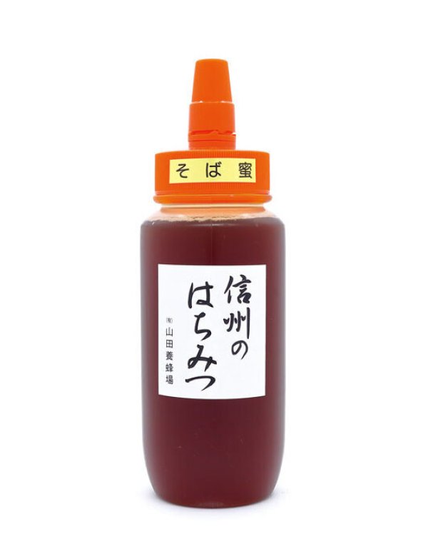 画像1: 信州のはちみつ そば蜜  500g   (ポリ容器) (1)