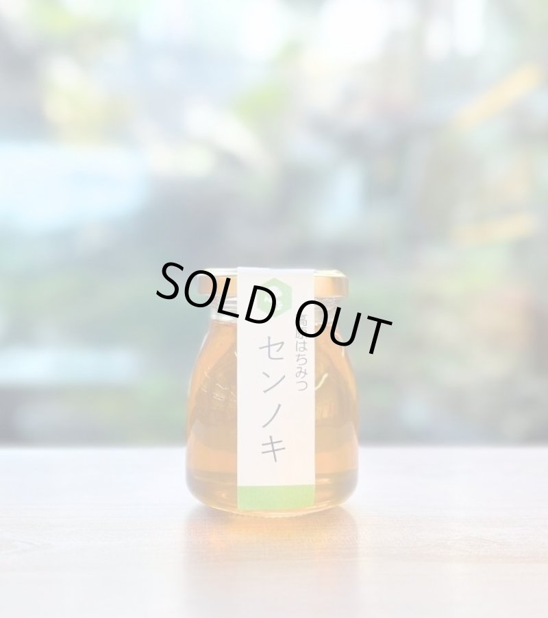 画像1: センノキ蜜 国産 130g (1)