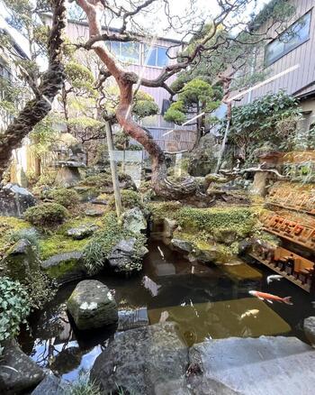 お店の坪庭をぜひ見に来てください