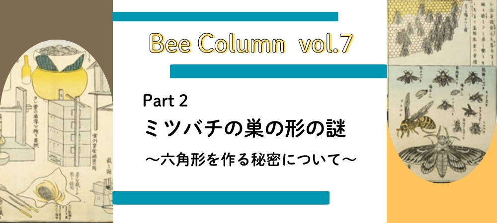 Part2 ミツバチの巣の形の謎