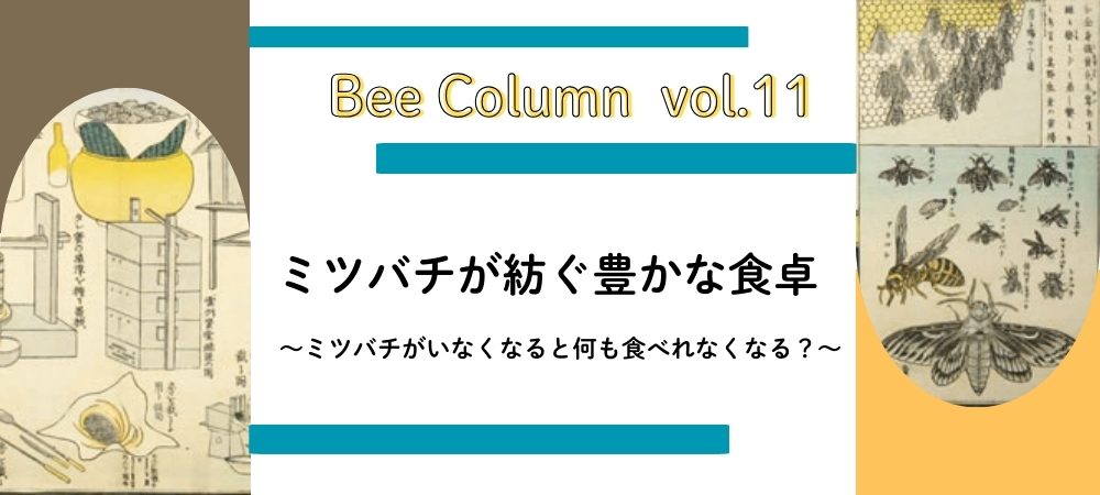 ミツバチが紡ぐ豊かな食卓