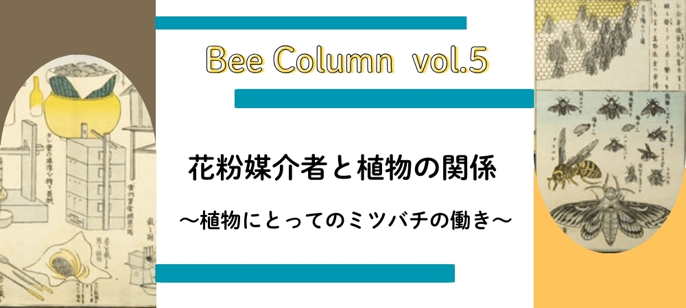 花粉媒介者と植物の関係