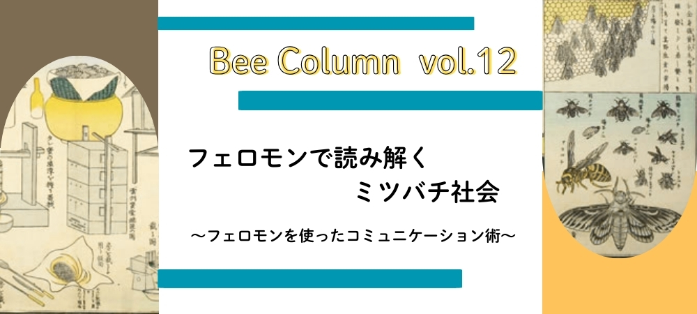 フェロモンで読み解くミツバチ社会
