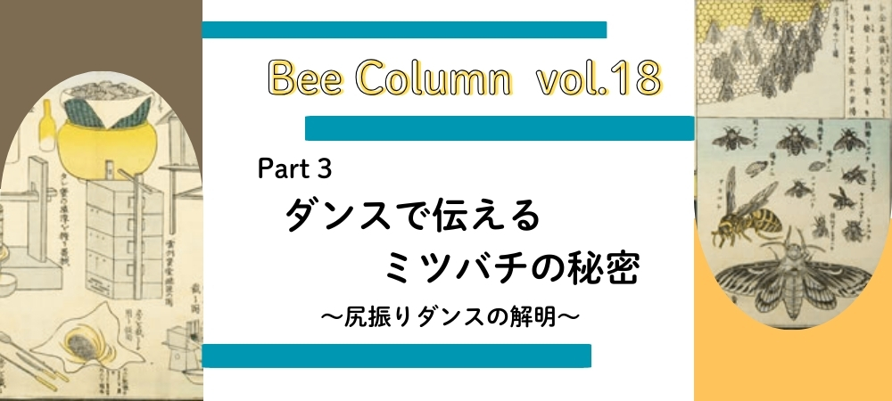 【Part3】 ダンスで伝えるミツバチの秘密 ― 尻振りダンスの解明