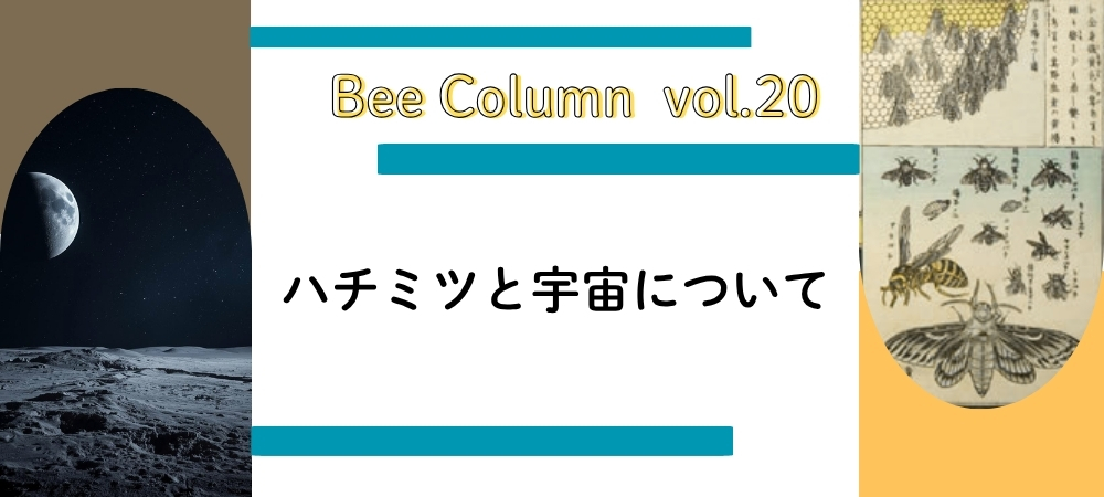 ミツバチと宇宙について