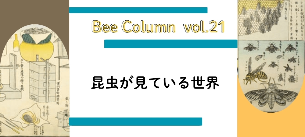 昆虫が見ている世界