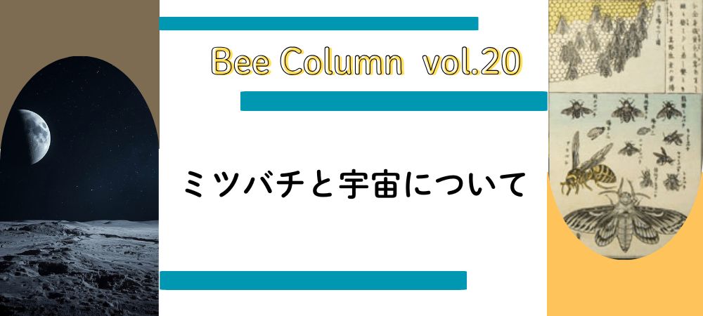 ミツバチと宇宙について