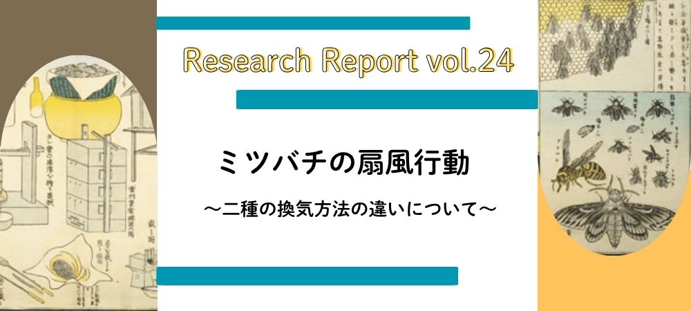 【研究レポート】ミツバチの扇風行動　ニ種の換気方法の違いについて